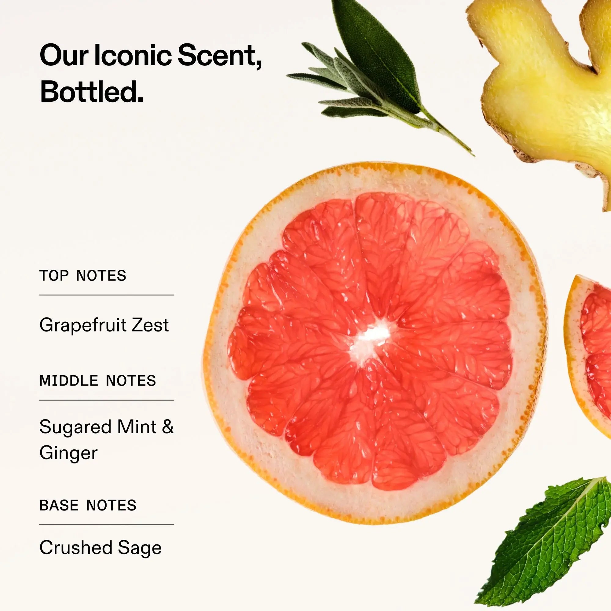 Grapefruit with ginger and mint leaves on a white background, featuring text about top, middle, and base notes of Olaplex No. 4 Bond Maintenance Strengthening Shampoo.